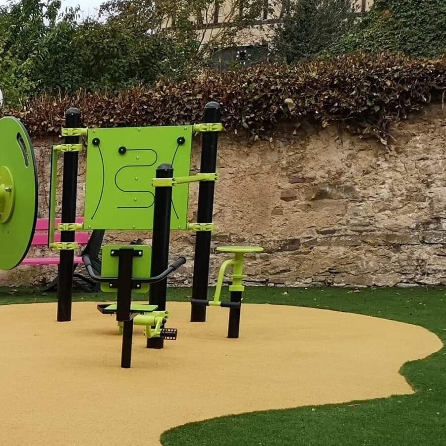 CS4 Freetness senior