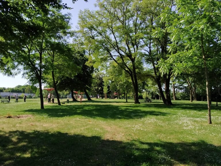 Quel espace choisir pour la création d’un terrain de fitness extérieur ?